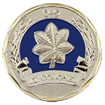 Hard Enamel Coin <br><p style="font-size: 11px;">Hard enamel challenge coins have a luxurious and<br> more refined feel to them.</p>