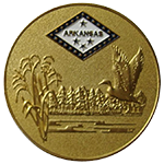 Satin Gold<br><p style="font-size: 11px;">Satin gold is ideal to have the right amaount of shine<br> and gold for challenge coins. </p>